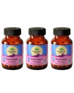 Organic Ashwagandha Capsules (Withania Somnifera)