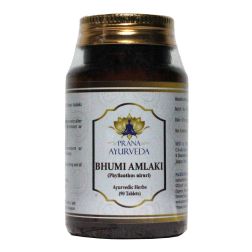 Bhumiamla (Phyllanthus Niruri) - 90 tablets for 500mg each