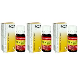 Dr. Reckeweg - Germany Biochemic Combination Tablets BC24